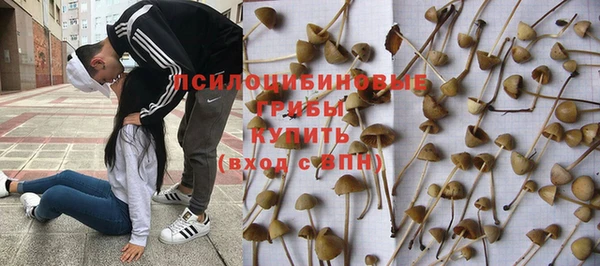 гашиш Гусев