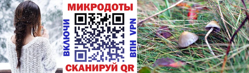 Галлюциногенные грибы MAGIC MUSHROOMS Богучар