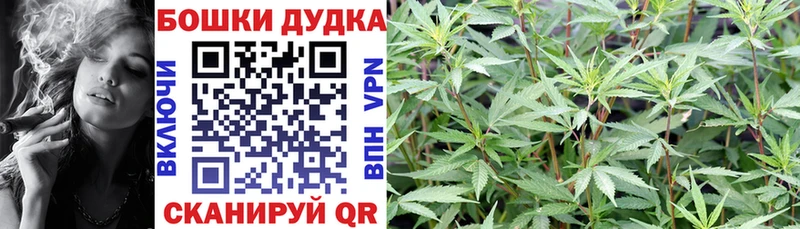 Бошки марихуана VHQ Купить где Богучар
